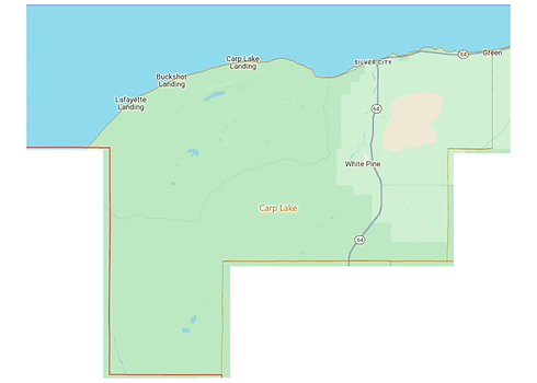 Carp Lake Township