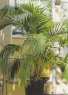 Potters Plants LLC