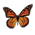 Mariposa Family Learning Center