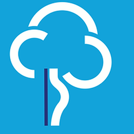 The Scoliosis Association (UK)