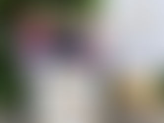 Aktuelles im Juni 2022