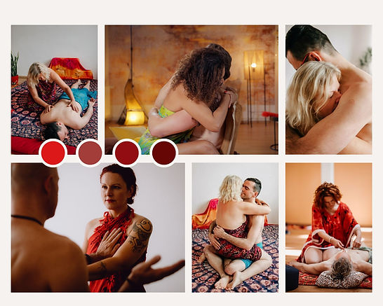 Collage2.jpg