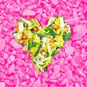 Composting the substance of our stories: conscientious storytelling towards community exchange 