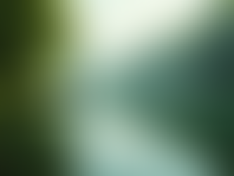 Meet Your Expert Guides: 35 Years of Fishing Passion