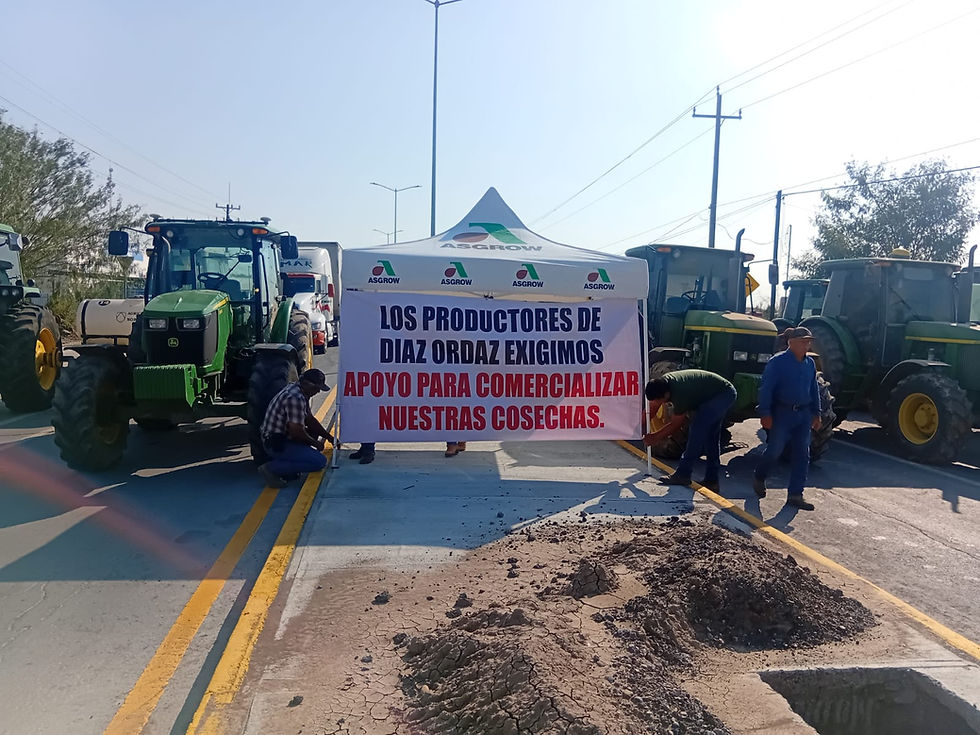 Fotos: Corresponsales Tamaulipas