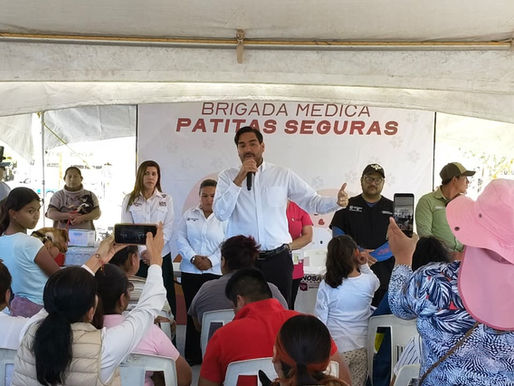 Realiza gobierno municipal brigada para mascotas