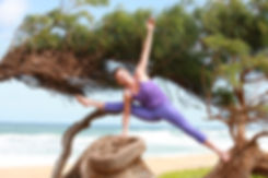 Vishvamitrasana.jpeg