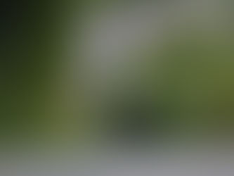 2017年05月22日 全国コウノトリ目撃情報