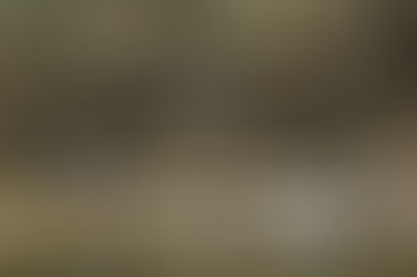 2018年03月12日 全国コウノトリ目撃情報