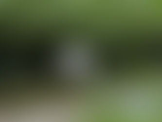 2017年07月12日 全国コウノトリ目撃情報