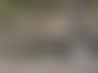 2018年03月07日 全国コウノトリ目撃情報