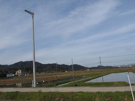 京都府京丹後市 市場人工巣塔巣台が完成しました。