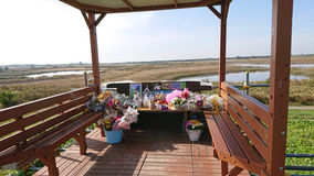 歌ちゃんを偲んで