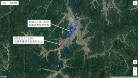 GPS情報 J0097♂・J0015♀ 2018.11.28.18:00~2018.12.5.16:00
