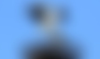金沢大地人工巣塔でペアが仲良くしています。