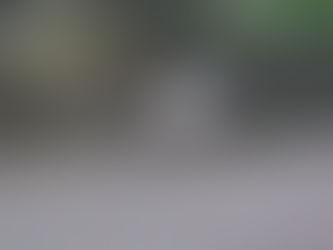 2017年05月31日 全国コウノトリ目撃情報