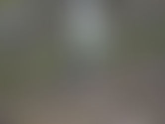 2017年10月11日 全国コウノトリ目撃情報