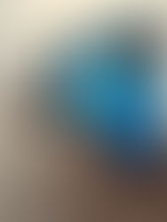 **Konvoi 43 steht in den Startlöchern!**