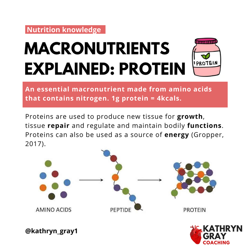 Macronutrients Explained Protein