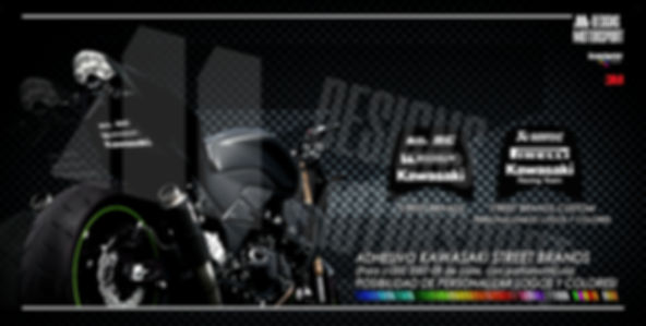 STREET BRANDS paso de rueda z1000