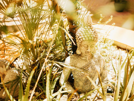 Find Peace in Slowing Down
