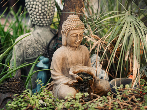 Serene courtyard at Buddha Bella Healing Center in Phoenix featuring over 100 Buddha statues, surrounded by peaceful studio spaces, symbolizing mindfulness, intention, and a strong sense of community.