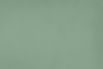 plain-green-paper-textured.jpg