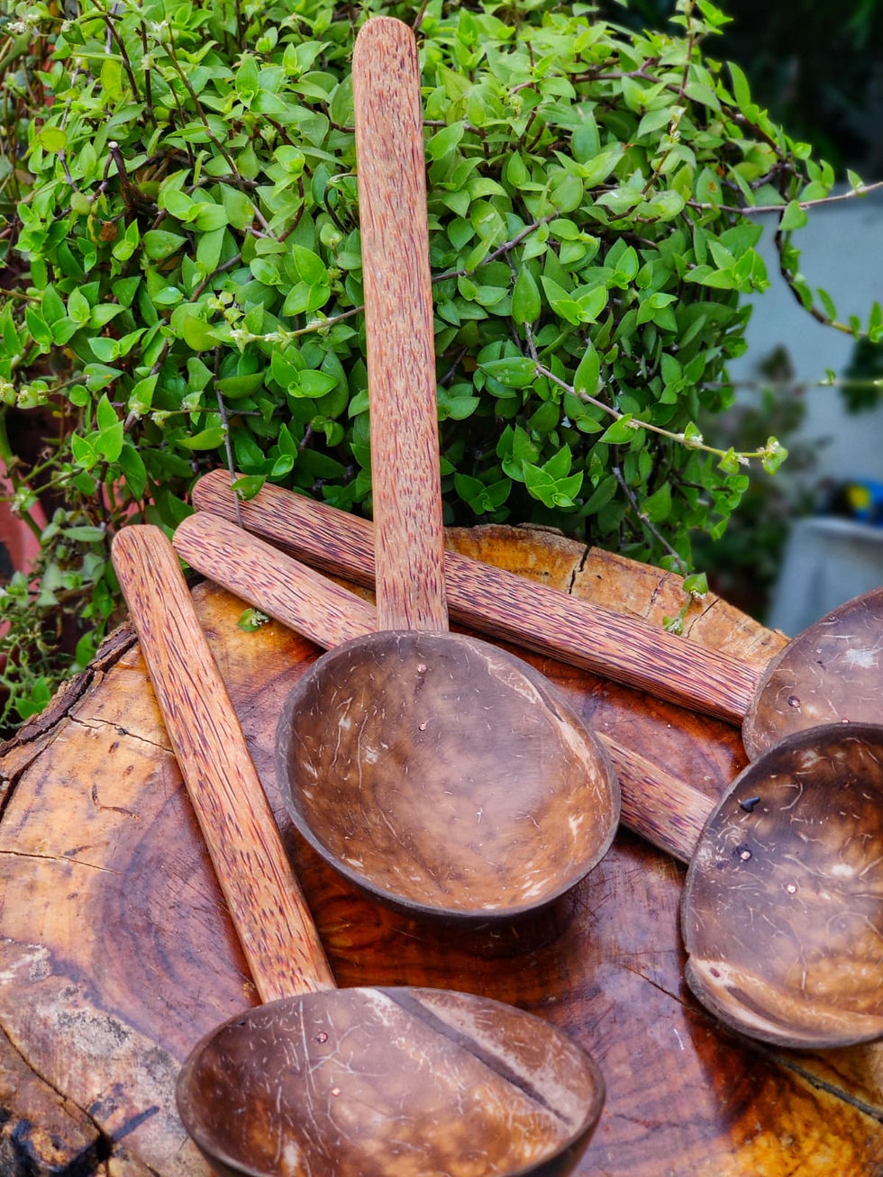 Coconut Shell Rice Serving Ladle