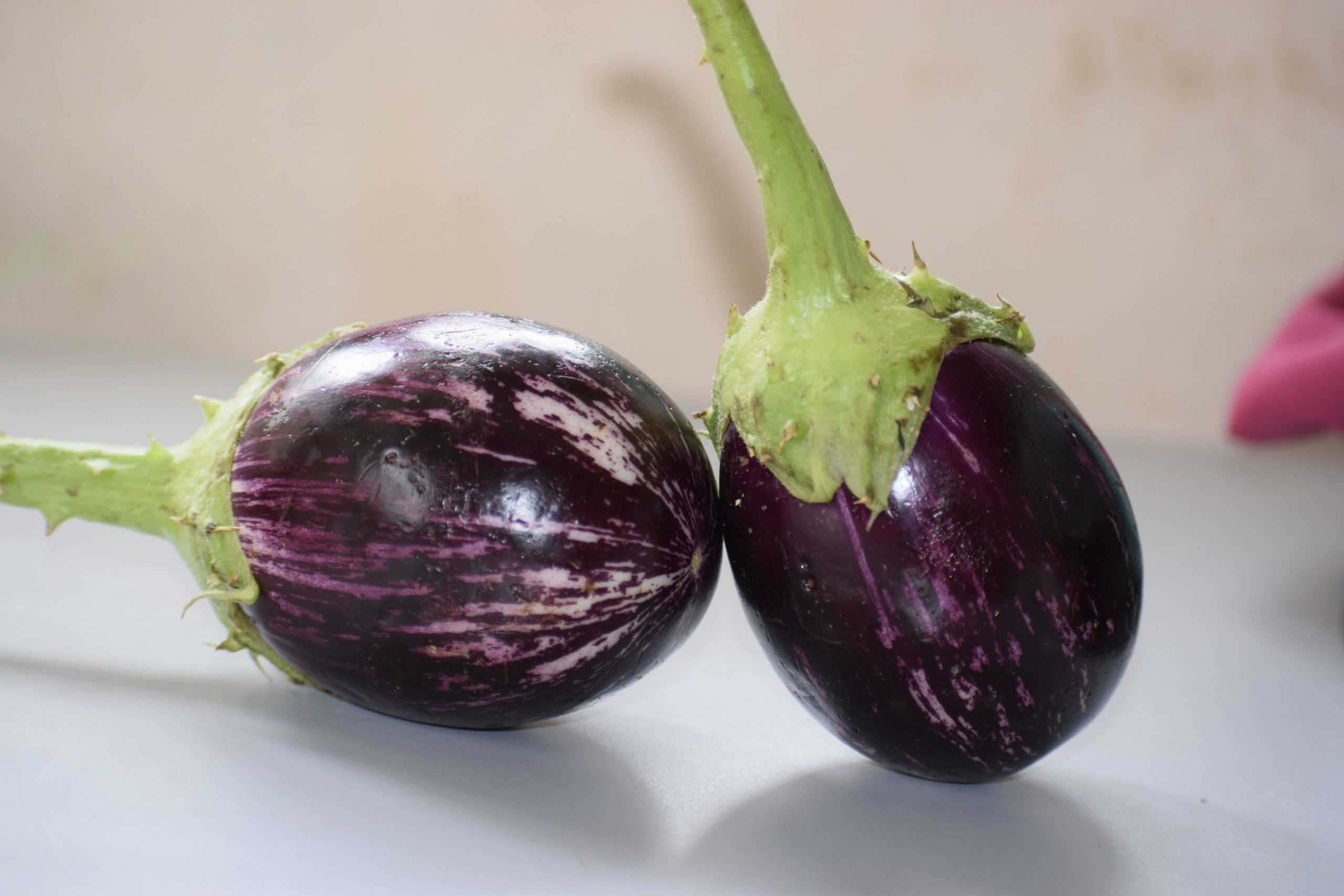 Thorn Brinjal (Mulla Vankaya) - ముళ్ల వంకాయ (1gm Seeds)