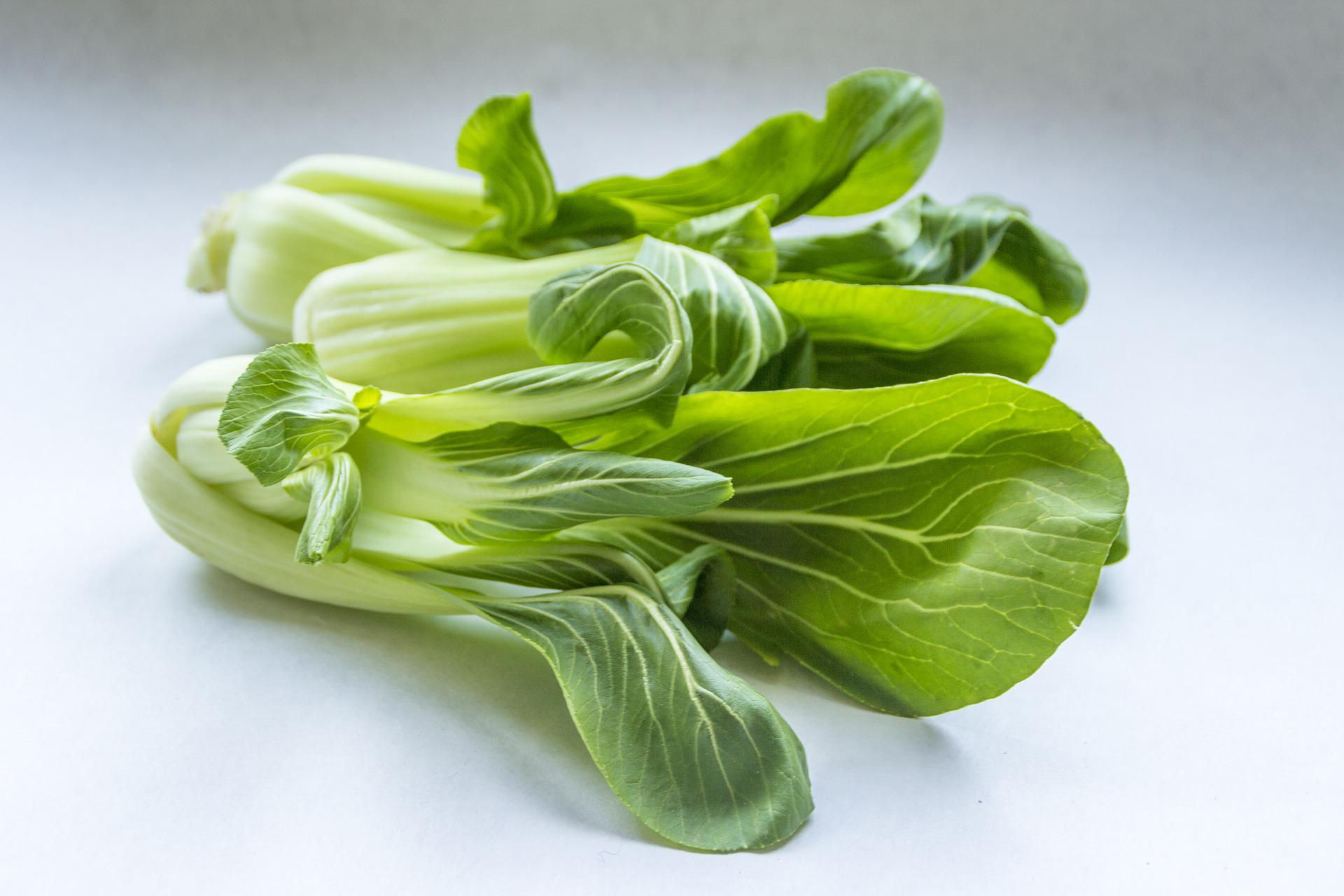 Bok Choy / Pak Choi - బోక్ చోయ్ - 1.5 gm Seeds