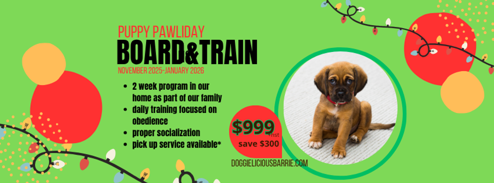 • Basic obedience commands.png