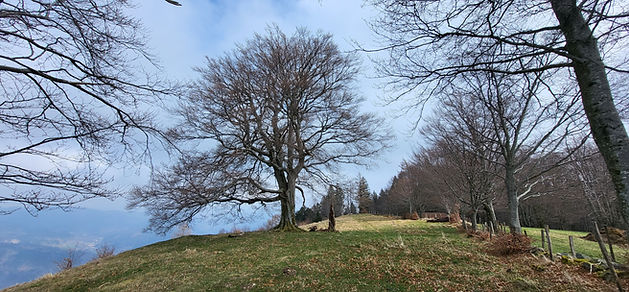 20260322_121844.jpg