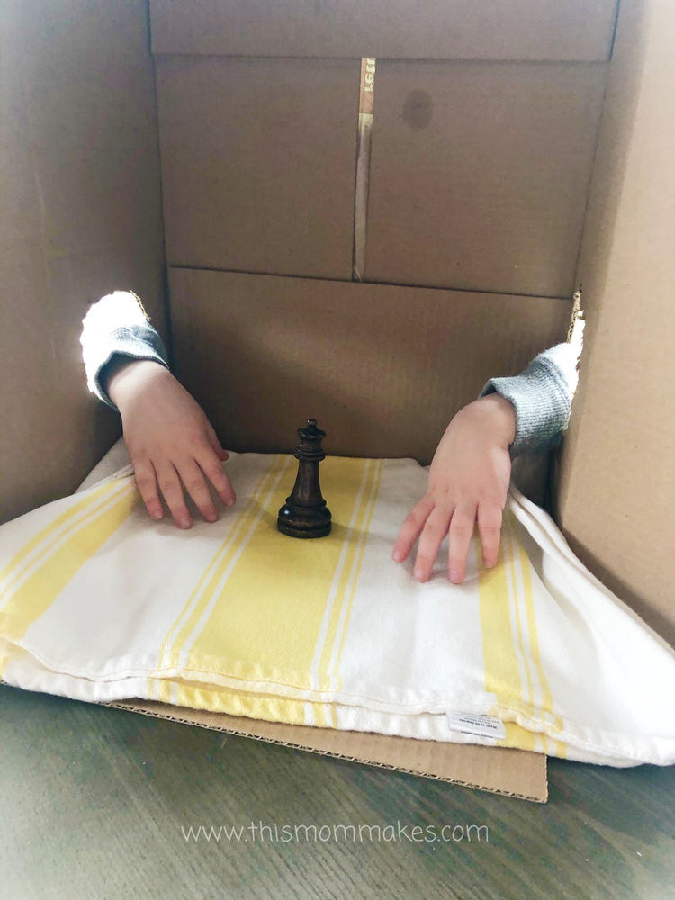 Mystery Touch and Feel Box