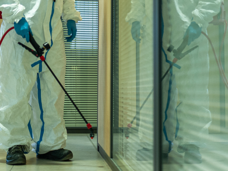 6 cosas que no sabías de las cucarachas