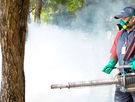 ¿Cómo eliminar chinches y dormir tranquilo nuevamente?