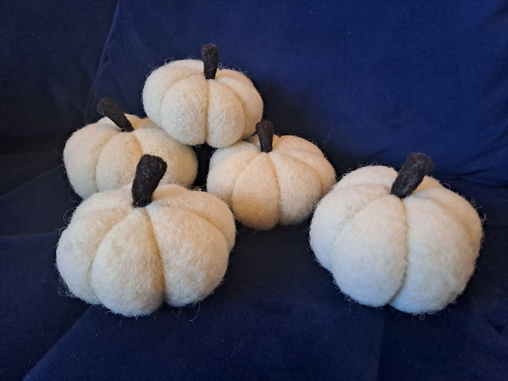 Five felted wool pumpkins in various sizes in white with black stems on a blue background
