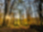 IMG_6899.jpeg