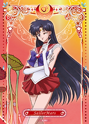 SM_幻之珍藏卡_R003-01.png