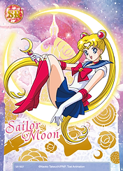 SM015_銀水晶珍藏卡_SR007-01.png