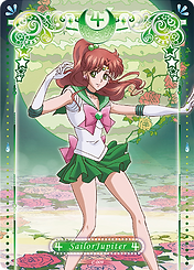 SM_幻之珍藏卡_C009-01 拷貝.png