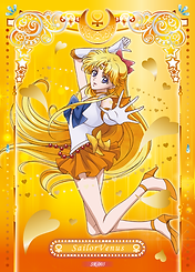 SM_幻之珍藏卡_SR005-01.png