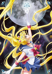 SM_幻之珍藏卡_R009-01.png