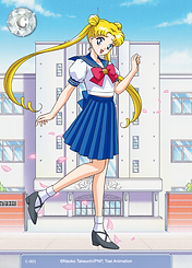 SM015_銀水晶珍藏卡_C001-01.png
