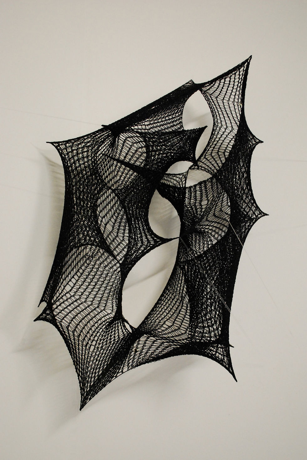 Topology visual data 4