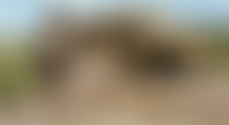 The Wheels of the Bus