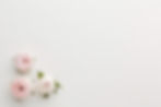 simplistic-pink-white-roses-copy-space-background_edited.jpg