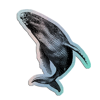 Sticker Baleine à bosses