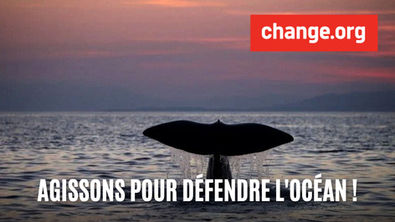 Une pétition pour les droits de l'Océan