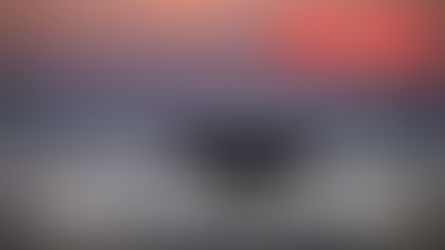 Une pétition pour les droits de l'Océan