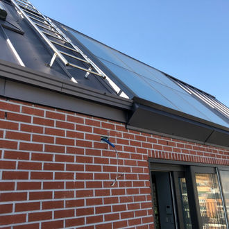 IMG_0788 (Medium).JPG